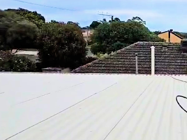 Asbestos roof after treatment